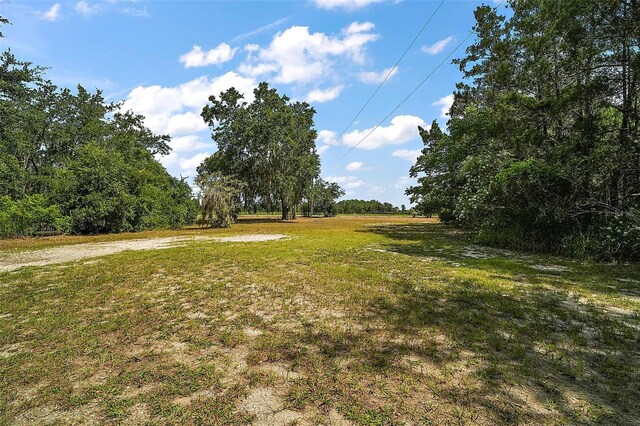 8024 Florida Boys Ranch Rd, Groveland, FL 34736 - photo 35