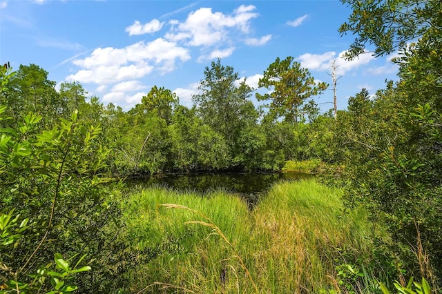 8024 Florida Boys Ranch Rd, Groveland, FL 34736 - photo 36