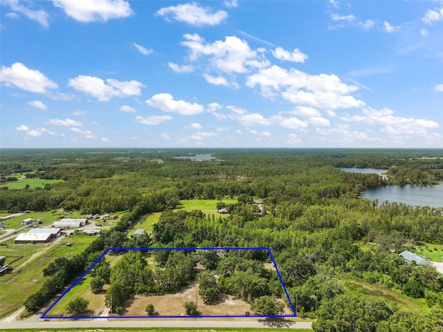 8024 Florida Boys Ranch Rd, Groveland, FL 34736 - photo 37