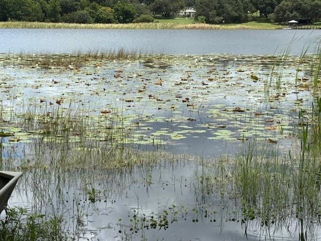 17927 E Apshawa Rd, Minneola, FL 34715 - photo 37