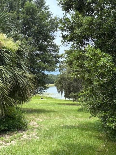 17927 E Apshawa Rd, Minneola, FL 34715 - photo 39