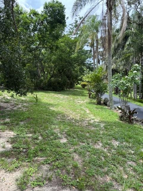 17927 E Apshawa Rd, Minneola, FL 34715 - photo 47