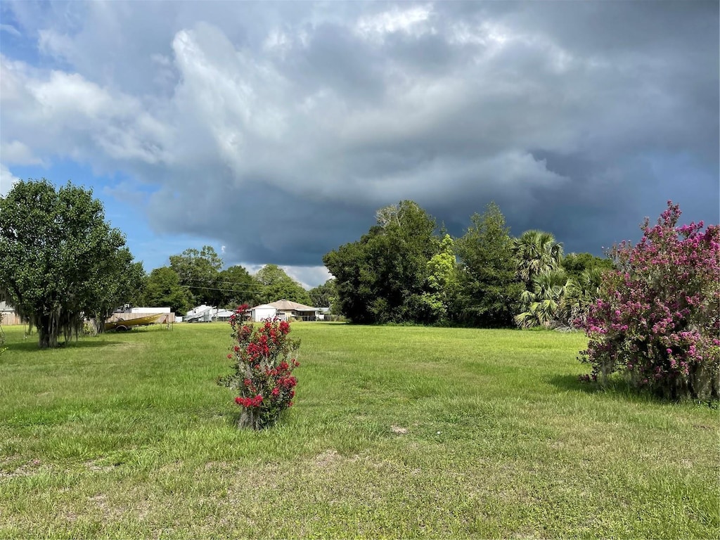 TBD Tennessee Ave, Umatilla, FL 32784 - photo 1
