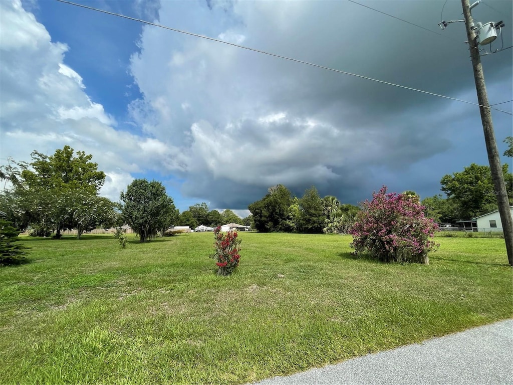 TBD Tennessee Ave, Umatilla, FL 32784 - photo 2