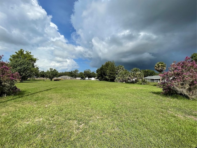 TBD Tennessee Ave, Umatilla, FL 32784 - photo 3