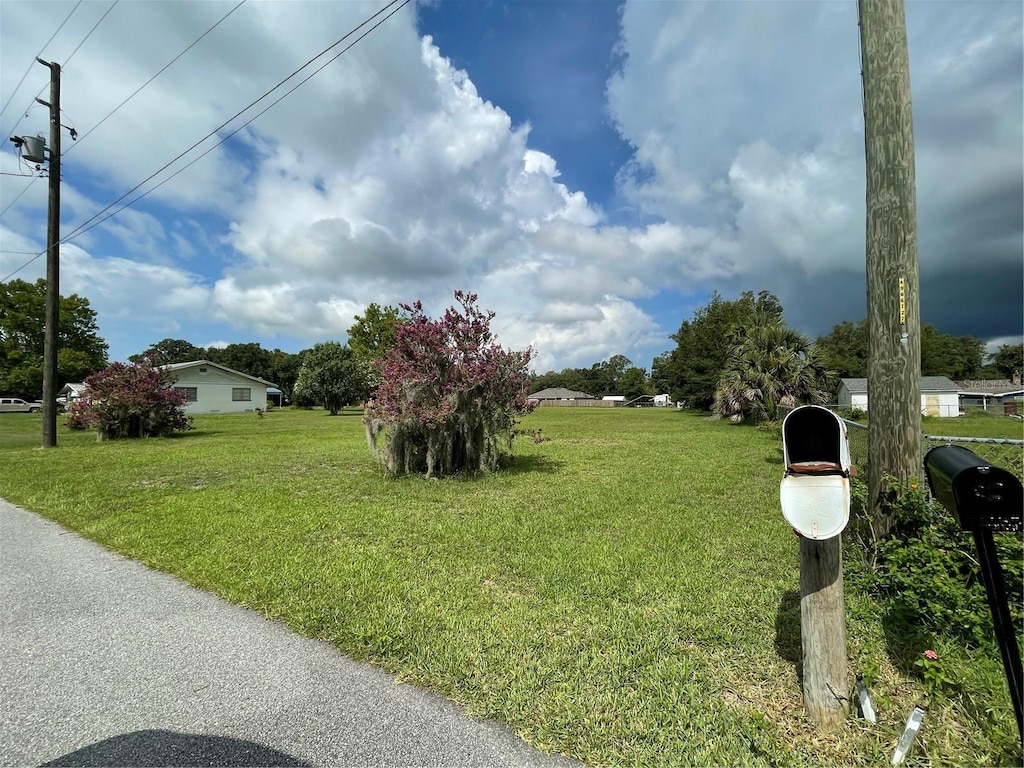 TBD Tennessee Ave, Umatilla, FL 32784 - photo 4