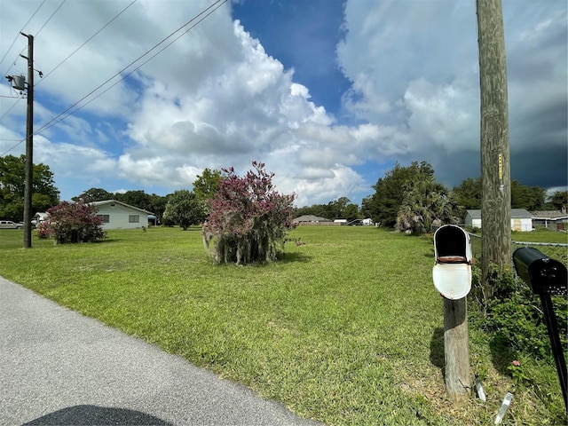 TBD Tennessee Ave, Umatilla, FL 32784 - photo 4