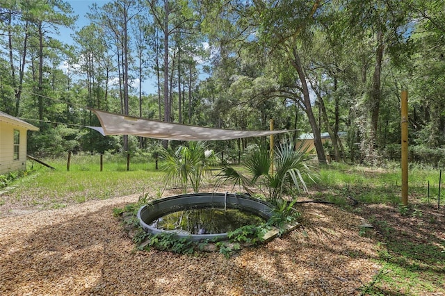 15888 NE 152nd Ave, Fort Mc Coy, FL 32134 - photo 19