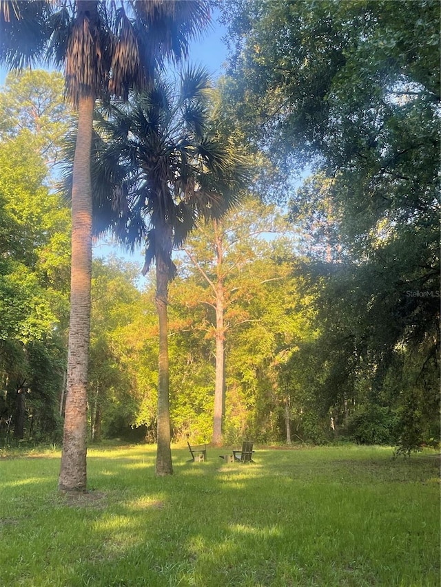 15888 NE 152nd Ave, Fort Mc Coy, FL 32134 - photo 23