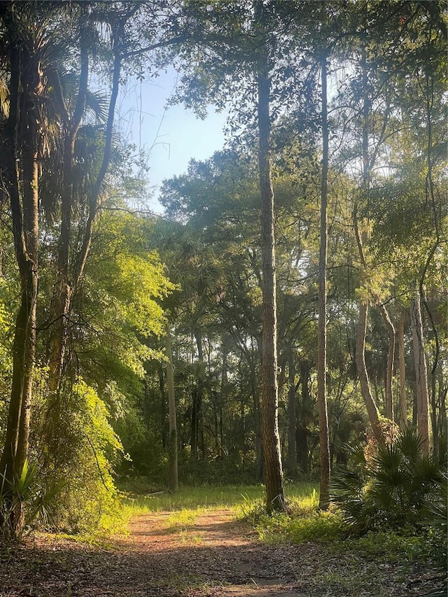 15888 NE 152nd Ave, Fort Mc Coy, FL 32134 - photo 24