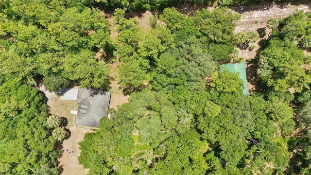 15888 NE 152nd Ave, Fort Mc Coy, FL 32134 - photo 25