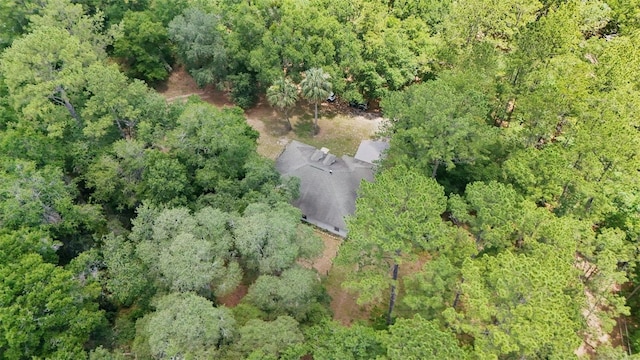 15888 NE 152nd Ave, Fort Mc Coy, FL 32134 - photo 26