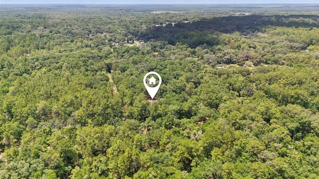 15888 NE 152nd Ave, Fort Mc Coy, FL 32134 - photo 27