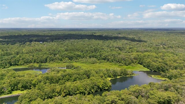 15888 NE 152nd Ave, Fort Mc Coy, FL 32134 - photo 28