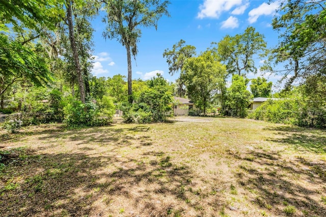 710 N Sparkman Ave, Orange City, FL 32763 - view of yard