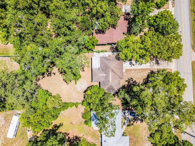 710 N Sparkman Ave, Orange City, FL 32763 - bird's eye view