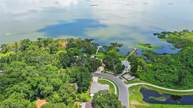 400 Timbercreek Dr N, Winter Garden, FL 34787 - photo 53
