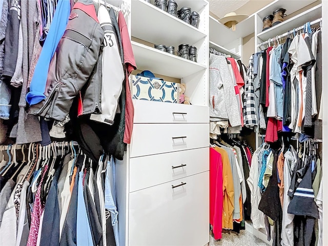 31980 Geoff Way, Sorrento, FL 32776 - view of spacious closet