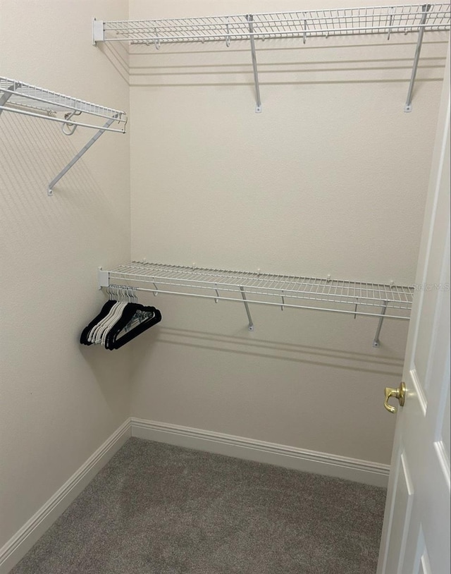 152 Glendale Ct, Kissimmee, FL 34759 - spacious closet featuring carpet