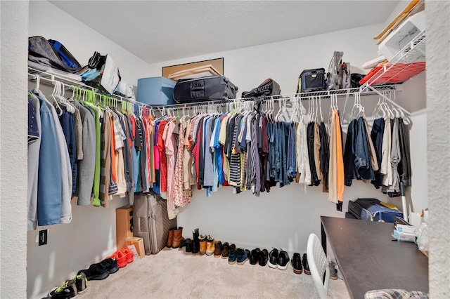 205 Cimarron Dr, Kissimmee, FL 34759 - walk in closet featuring carpet