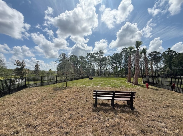 15133 Summer Harvest St, Winter Garden, FL 34787 - view of property's community