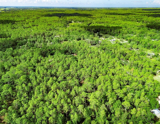 0000 176th Ave, Dunnellon, FL 34432