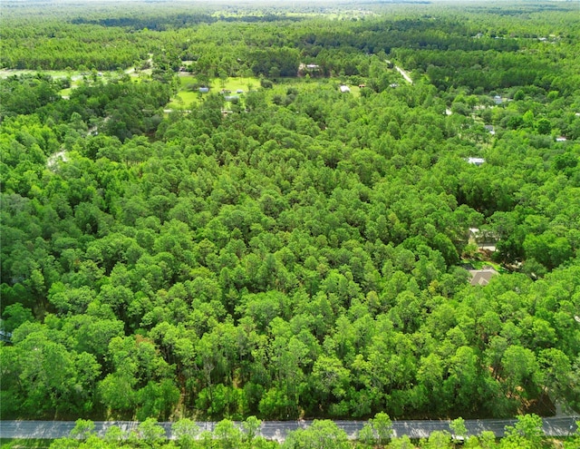 0000 176th Ave, Dunnellon, FL 34432