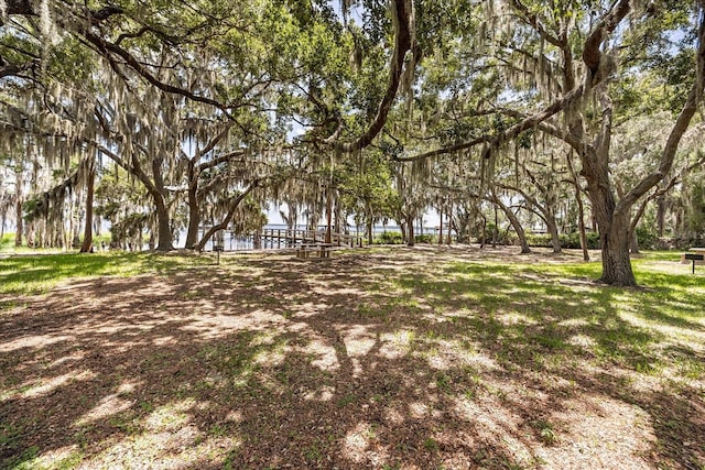 13848 Vista Del Lago Blvd, Clermont, FL 34711 - view of yard with a water view