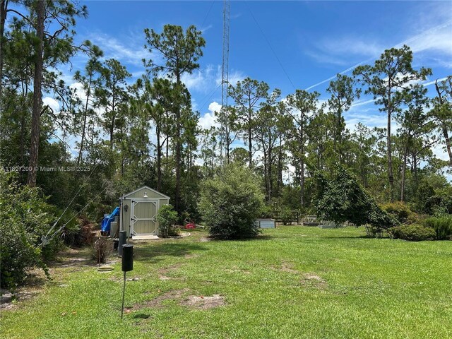 3267 Forbes Dr, Lake Placid, FL 33852 - photo 26