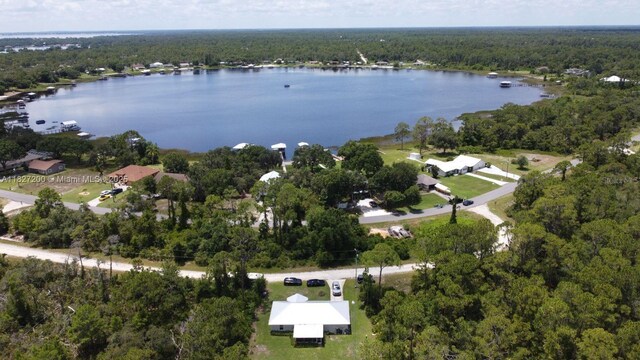 3267 Forbes Dr, Lake Placid, FL 33852 - photo 28