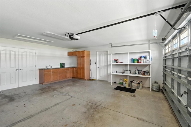 2895 Apache Ct, The Villages, FL 32163 - garage with a garage door opener