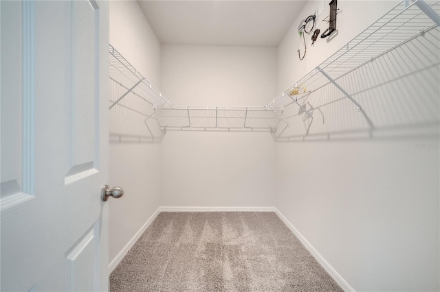 172 S Zuni Rd, Saint Cloud, FL 34771 - spacious closet with carpet flooring