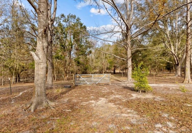 11975 162nd Ter, Mc Alpin, FL 32062 - photo 45
