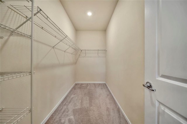 2601 Blowing Breeze Ave, Kissimmee, FL 34744 - spacious closet with carpet