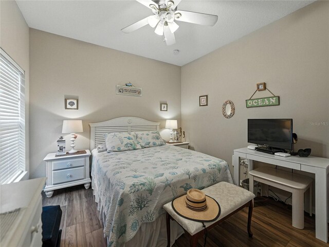 3556 Sunset Isles Blvd, Kissimmee, FL 34746 - photo 18