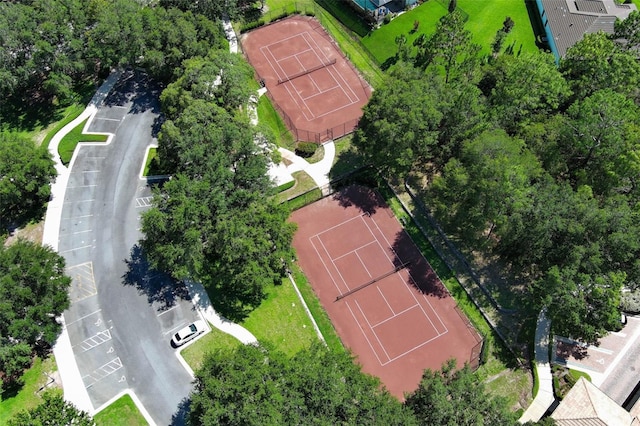25974 High Hampton Cir, Sorrento, FL 32776 - photo 49