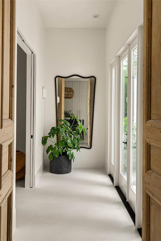 1150 Via Salerno, Winter Park, FL 32789 - photo 26