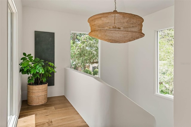 1150 Via Salerno, Winter Park, FL 32789 - photo 48