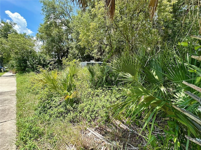 1546 Immocalee St, Intercession City, FL 33848