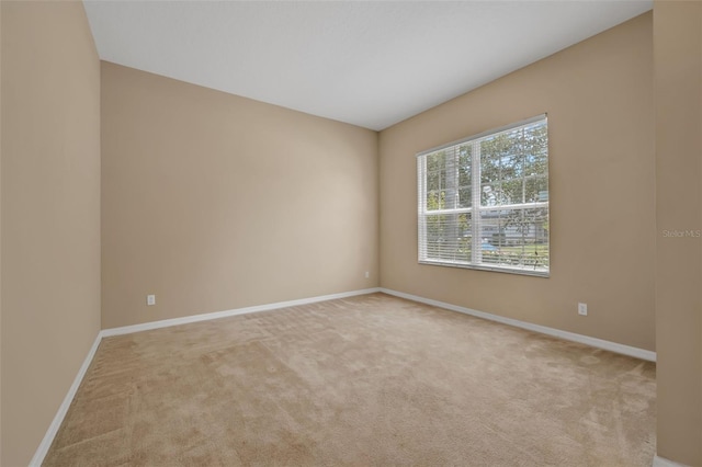 9650 Bay Pine Ln, Orlando, FL 32832 - photo 6