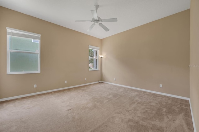9650 Bay Pine Ln, Orlando, FL 32832 - photo 18