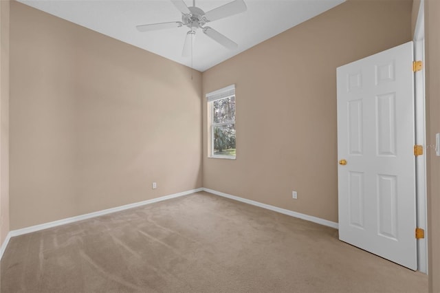 9650 Bay Pine Ln, Orlando, FL 32832 - photo 28