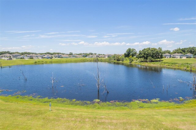 3759 Crimson Clover Dr, Mount Dora, FL 32757 - photo 26