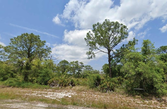 1822 Washington Blvd NW, Lake Placid, FL 33852 - photo 1