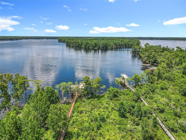 15084 Cuddy Ct, Orlando, FL 32820 - photo 58