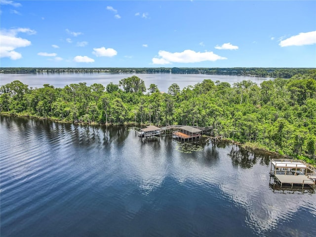 15084 Cuddy Ct, Orlando, FL 32820 - photo 59