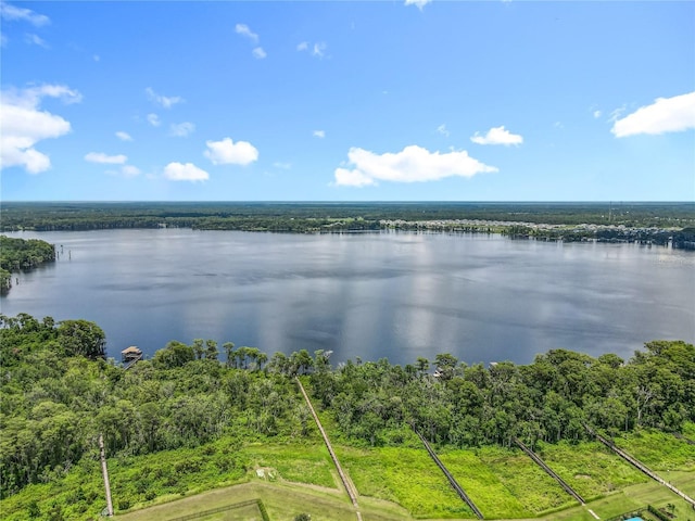 15084 Cuddy Ct, Orlando, FL 32820 - photo 63