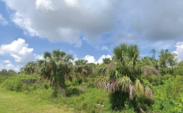 2277 Drennon St, Port Charlotte, FL 33953
