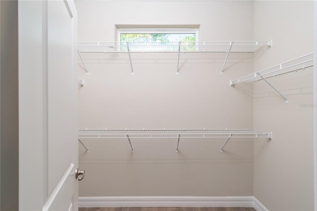 2833 E Newhaven St, Inverness, FL 34453 - walk in closet featuring wood finished floors