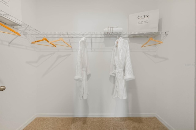 3413 Wynwood Forest Dr, Ocoee, FL 34761 - spacious closet featuring carpet flooring
